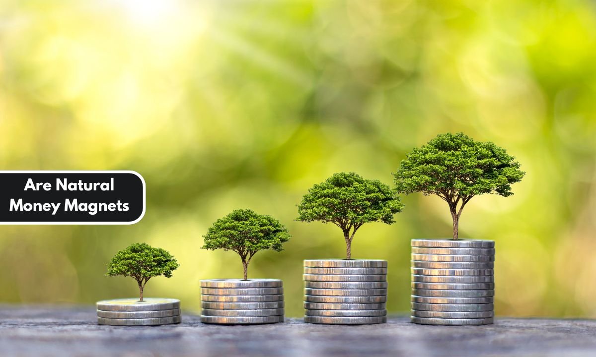 Are Natural Money Magnets