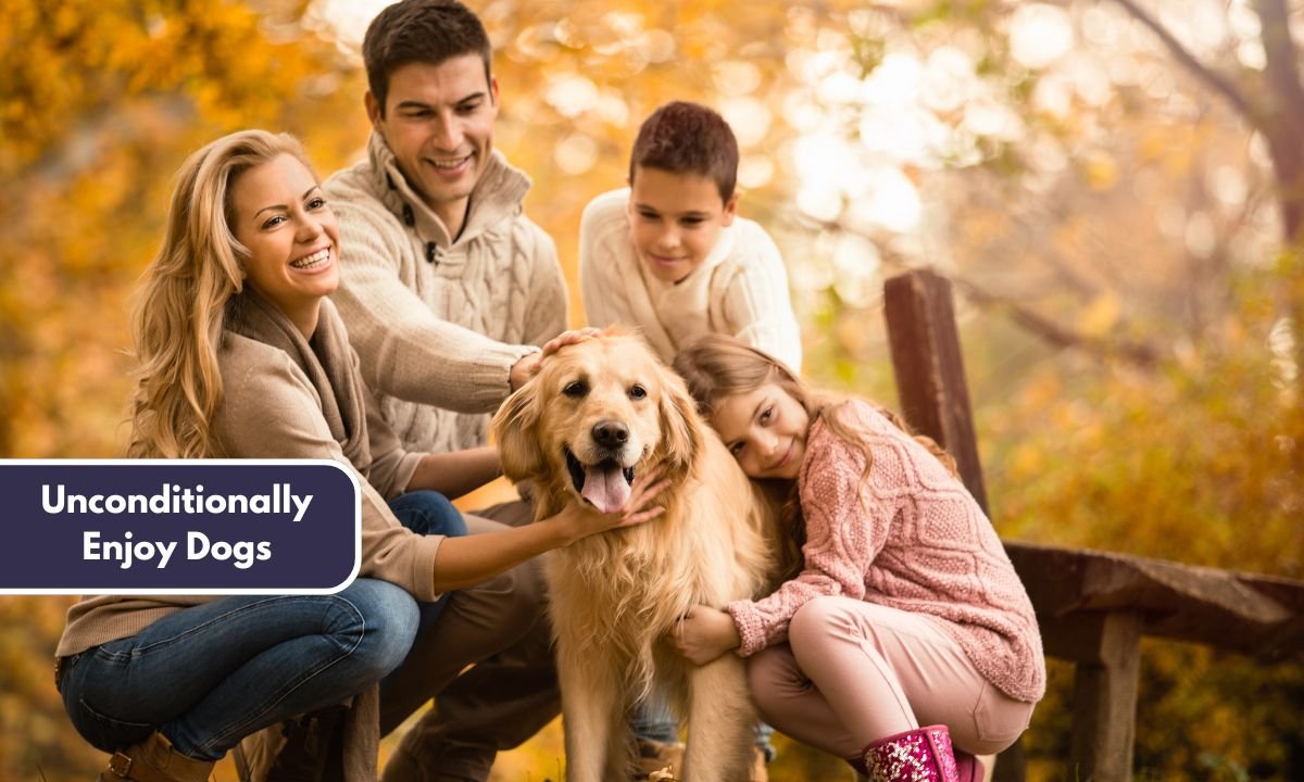 Unconditionally Enjoy Dogs